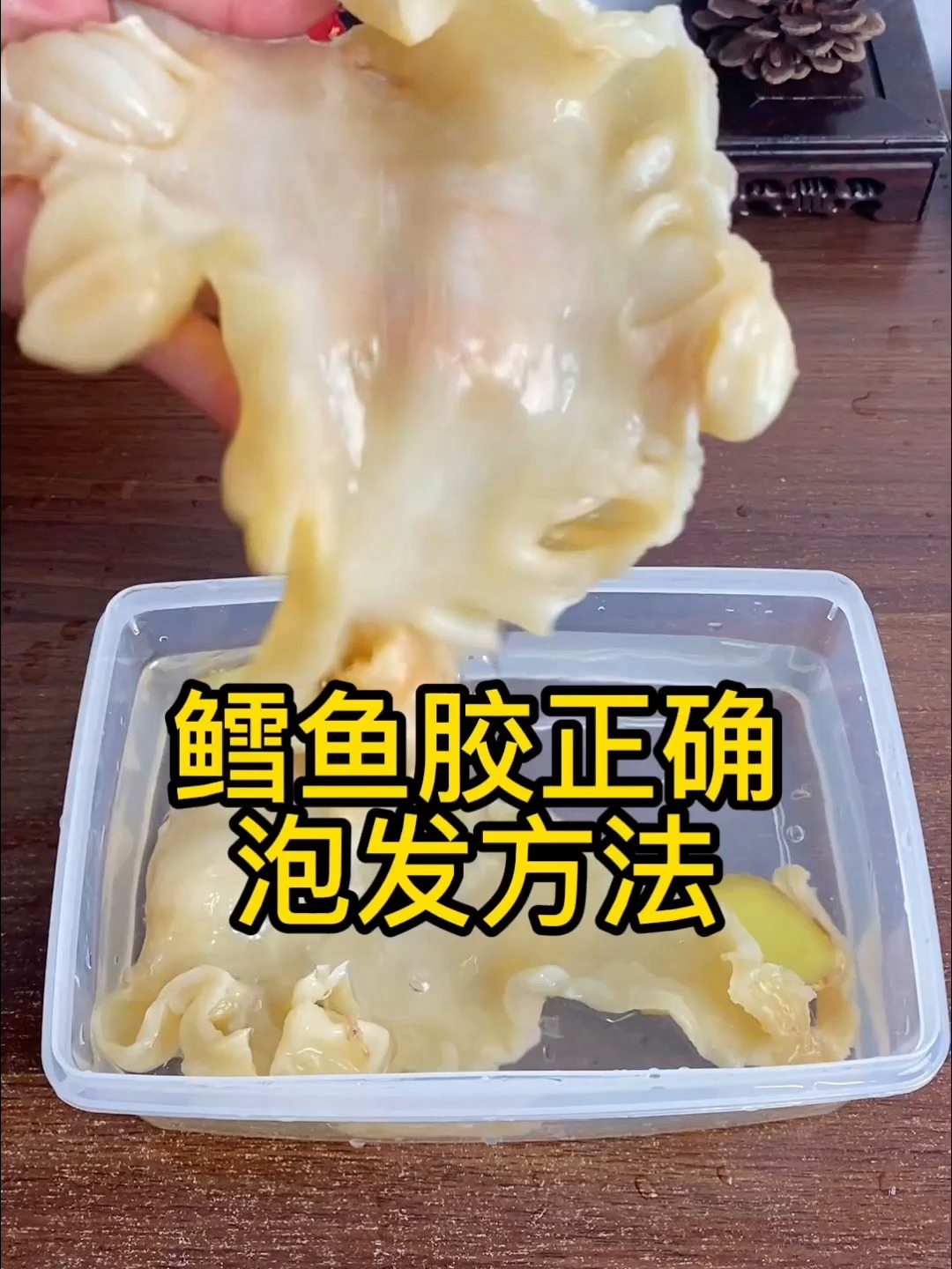 鳕鱼胶泡发正确的方式