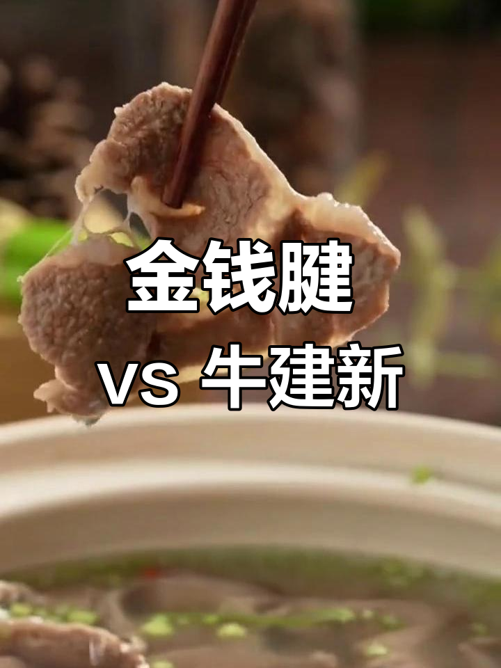 金钱腱与牛建新区别大揭秘,前腿后腿肌腱肉全方位对比