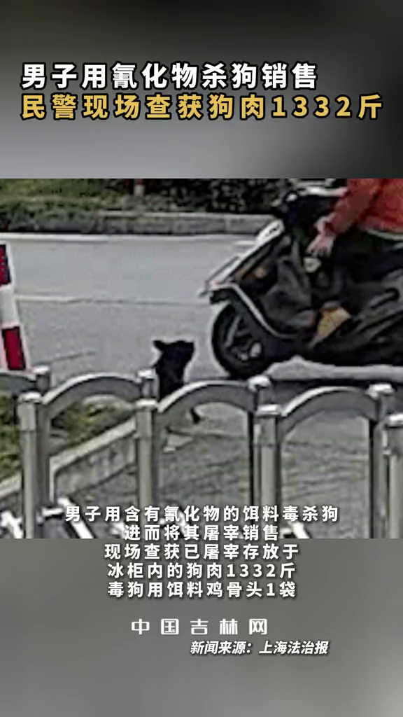 男子用氰化物杀狗,警察现场查获1332斤狗肉!