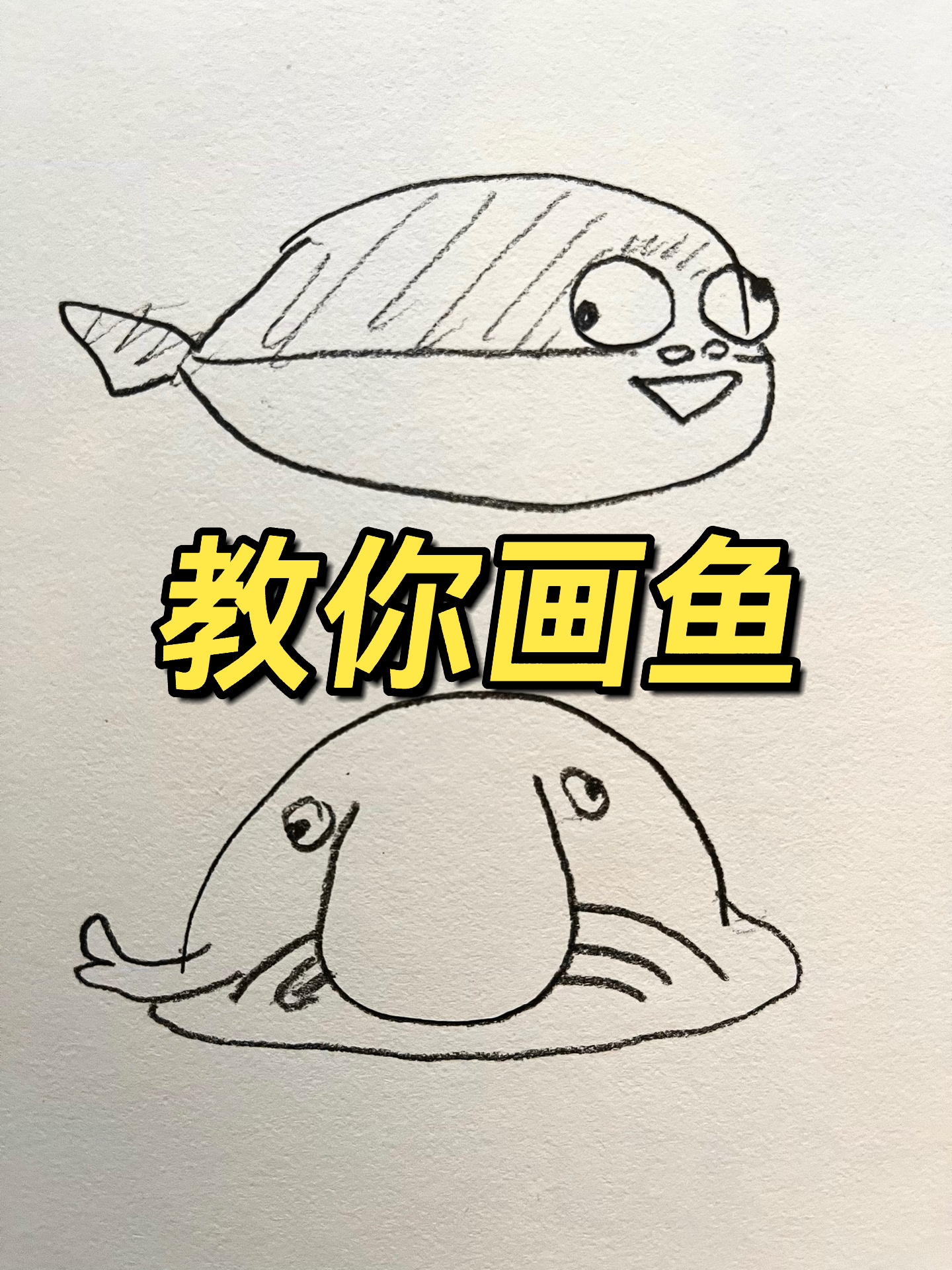 怎样画萨卡班甲鱼