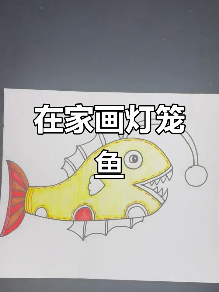 疫情期间在家画画,一起动手做灯笼鱼!