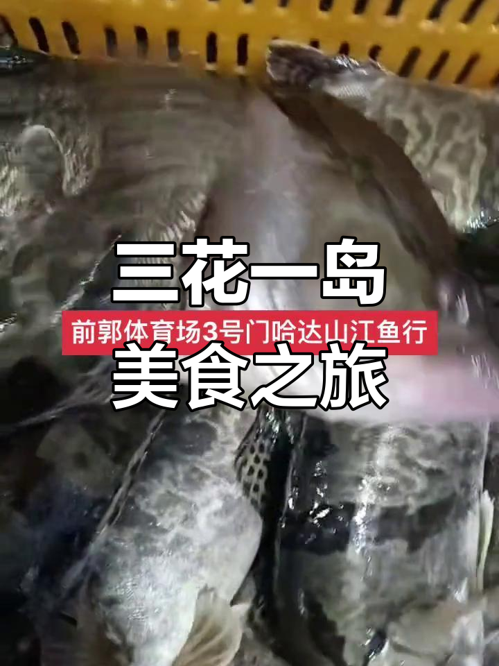 松花江三花一岛,名鱼美味尽享