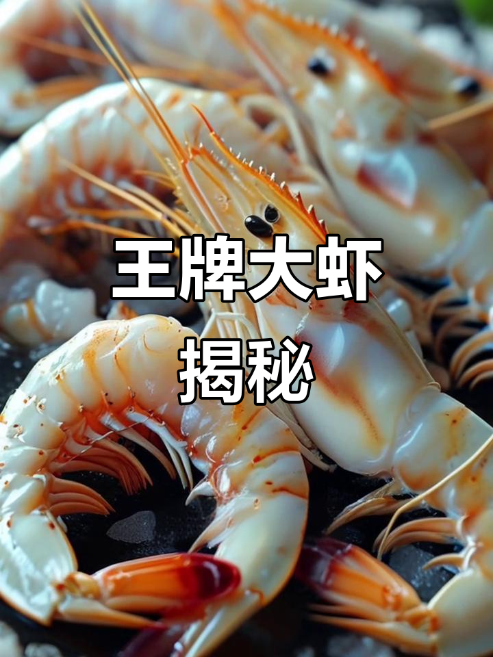厄瓜多尔王牌大虾:纯净海域与独特捕捞工艺的完美结合