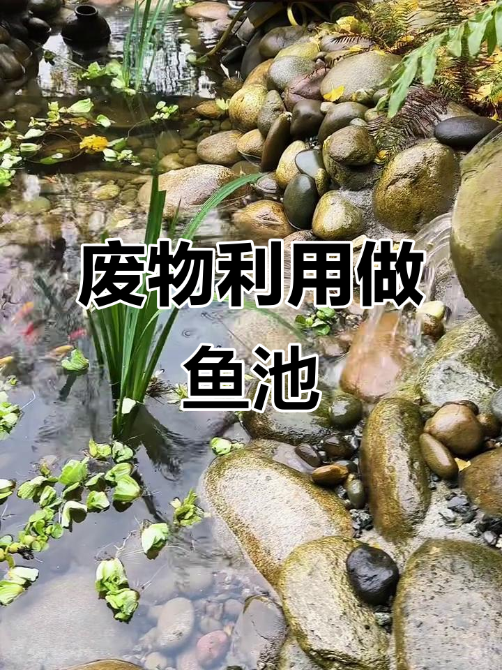 用废水泥缸打造懒人鱼池,自动过滤补水全搞定