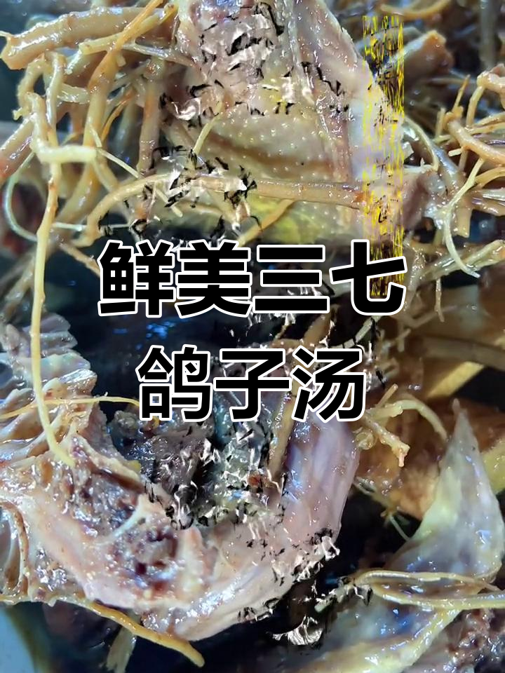 三七鸽子汤,滋补又美味
