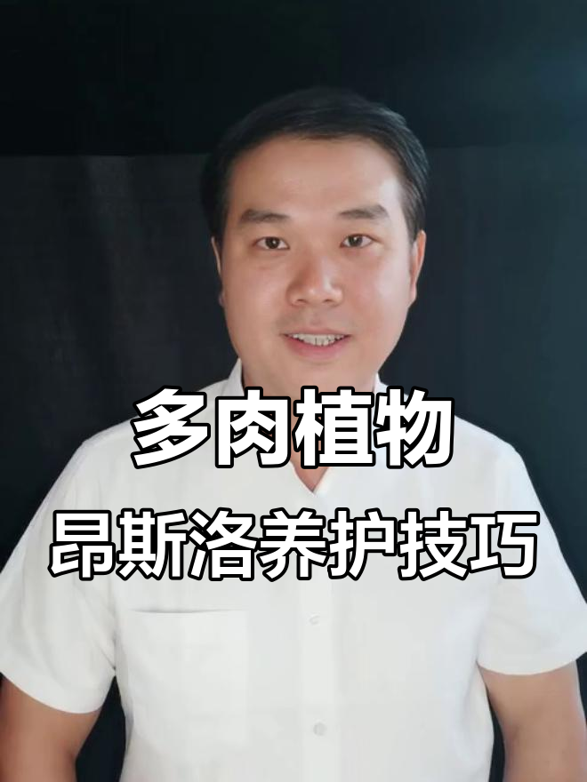 昂斯洛多肉植物养护全攻略：如何避免叶片化水，打造健康色彩