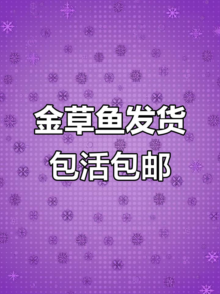 2022年俄罗斯金草鱼发货,规格多样