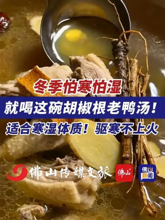 广东人必煲的祛湿汤!冬季怕寒怕湿,就喝这碗胡椒根老鸭汤!适合寒湿体质!驱寒不上火。(编辑: