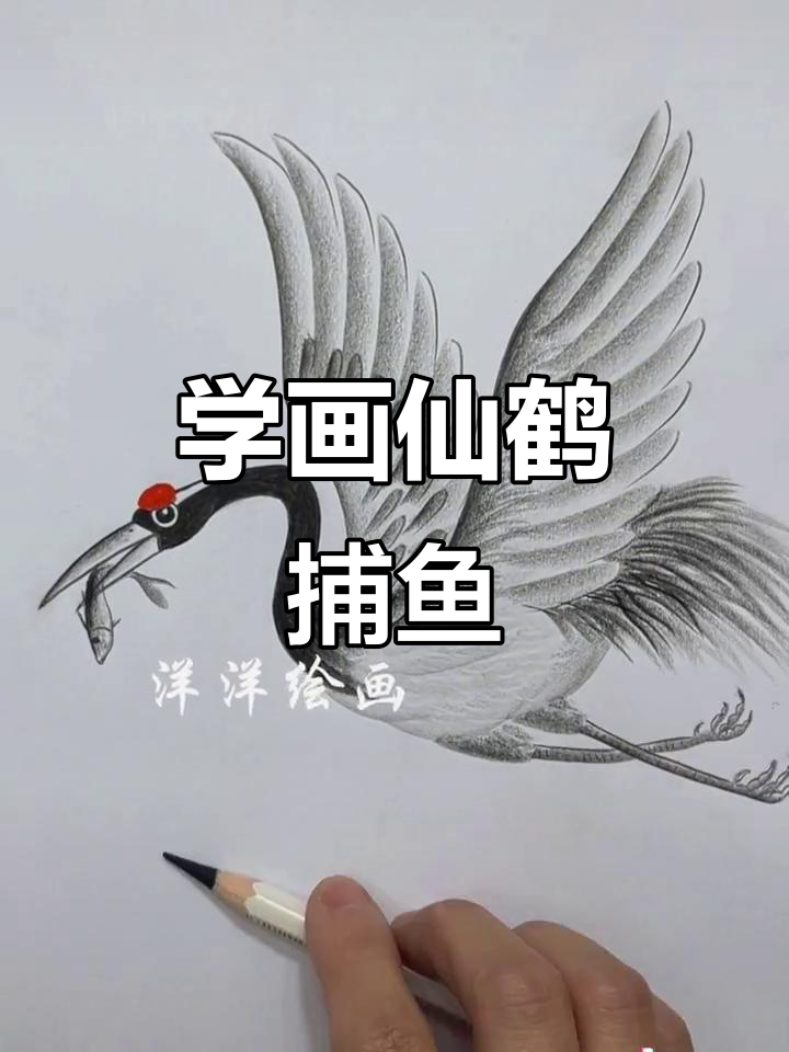仙鹤水面捕鱼,炭笔画技巧轻松学