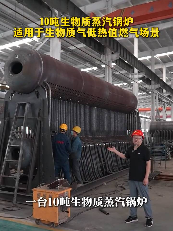 10吨链条生物质蒸汽锅炉 10吨