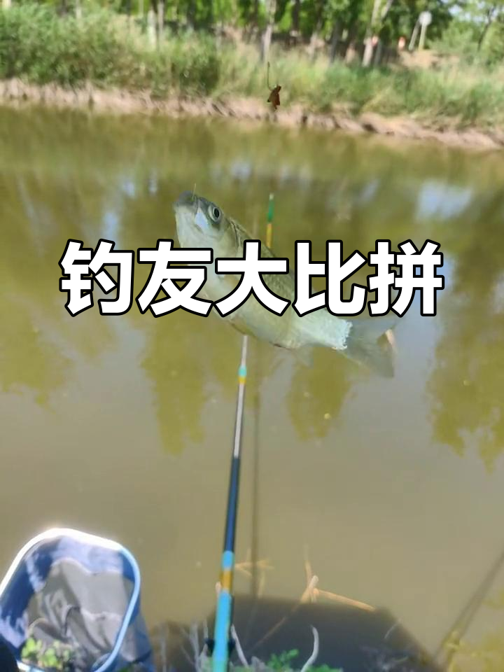 钓鱼成抖音新运动,晒鱼获视频火爆户外圈