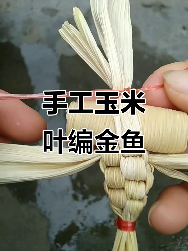 用玉米叶编织可爱金鱼,简单步骤教你做