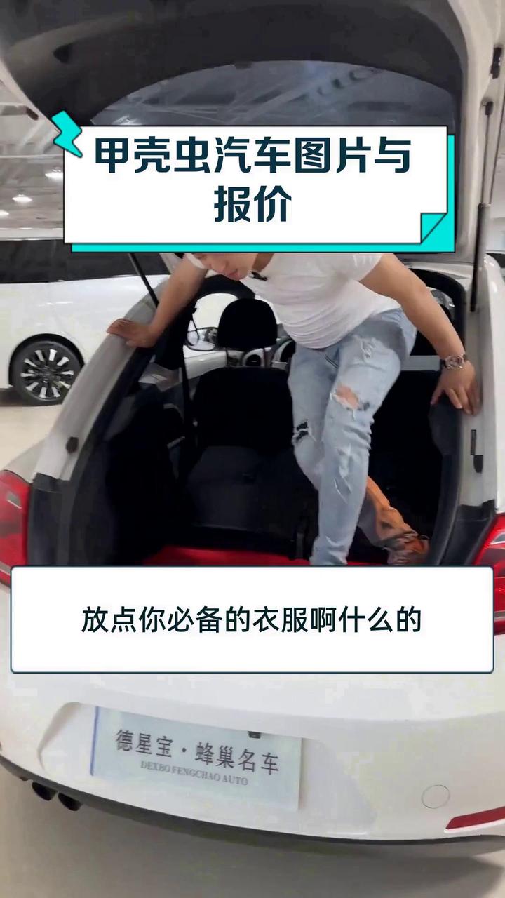 甲壳虫汽车图片与报价