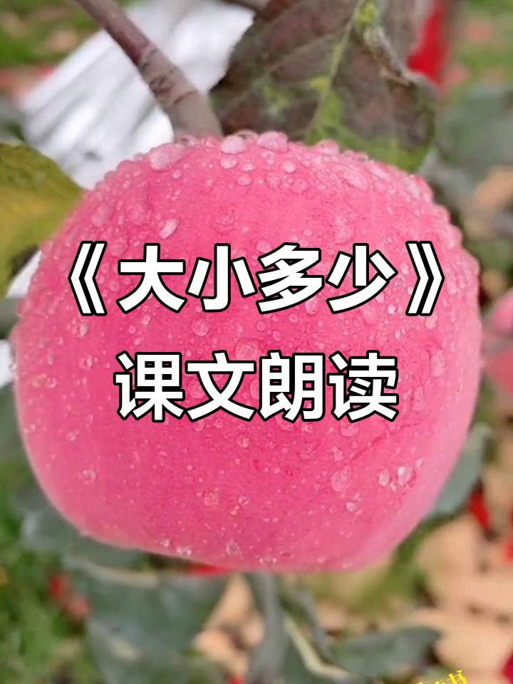 一年级语文《大小多少》课文朗读,生动有趣动画演示