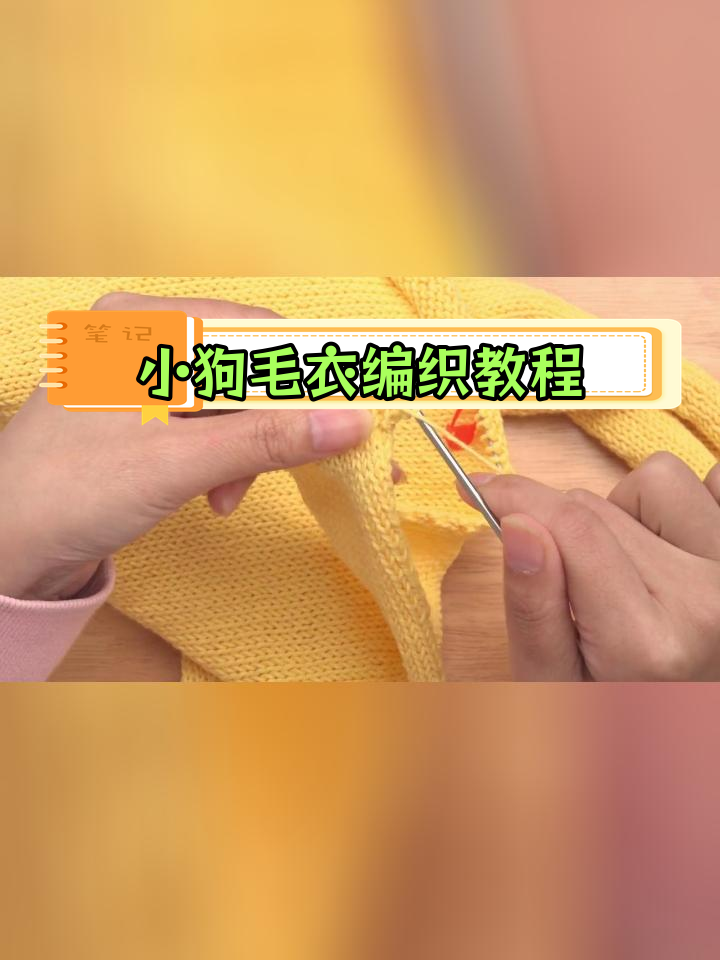 手工编织小狗狗连体衣教程:纽扣眼与加针技巧