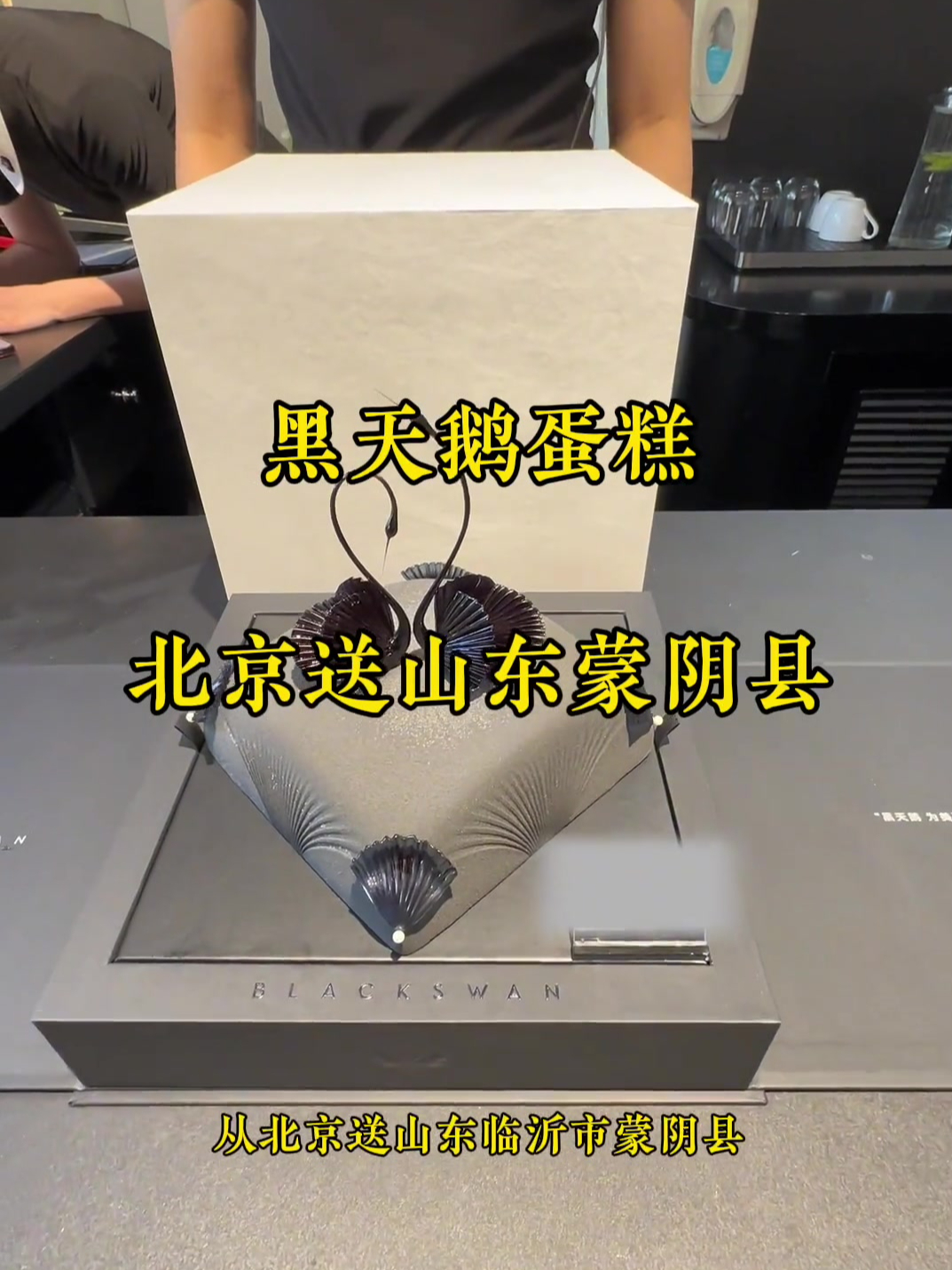 黑天鹅蛋糕从北京送山东蒙阴县
