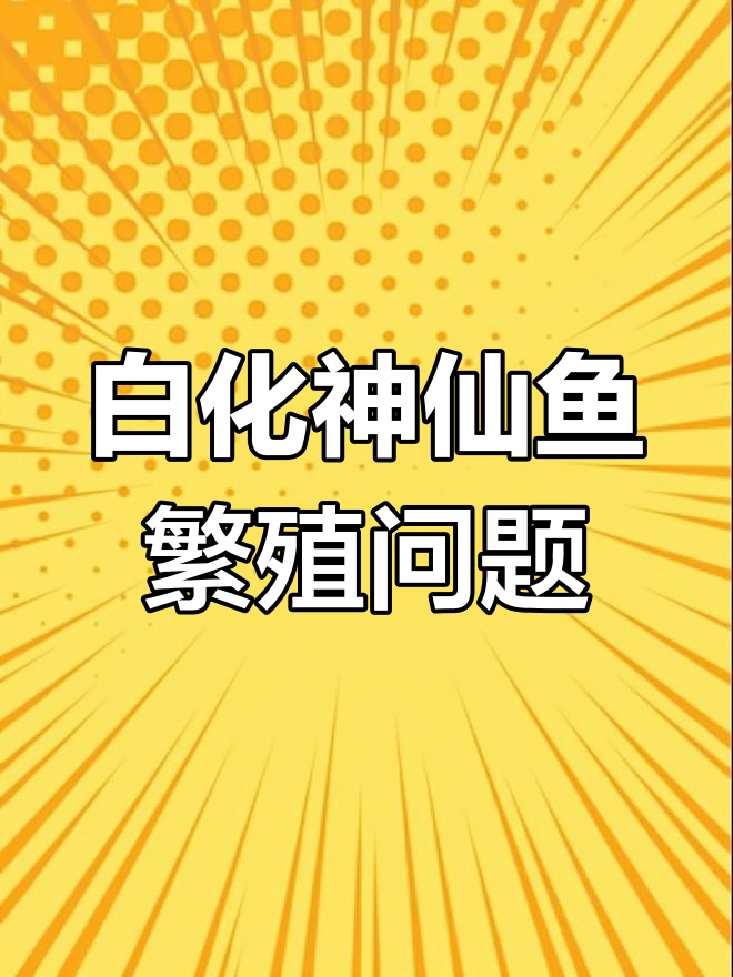 白化神仙鱼繁殖技术难题,攻关鼠鱼孵化