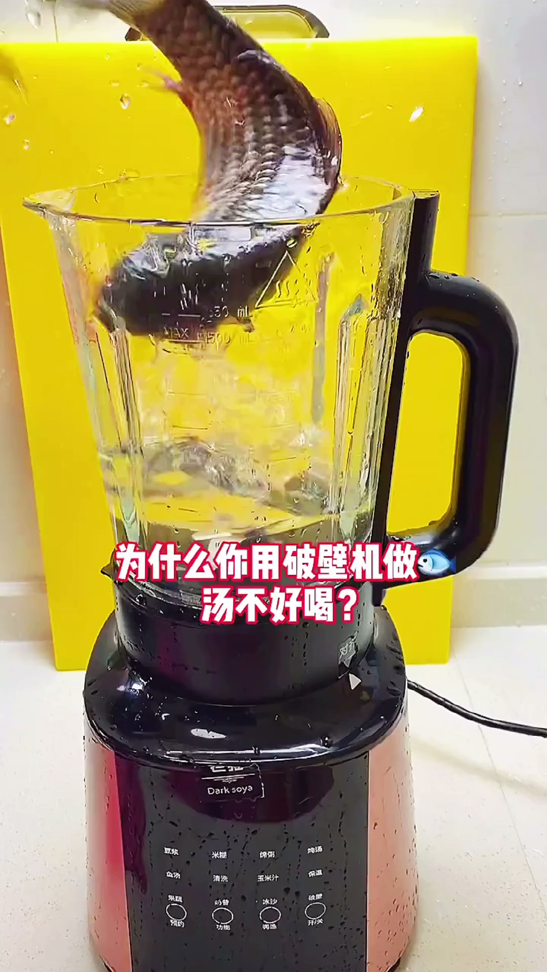 破壁机鲫鱼汤的做法,尤其适合小朋友