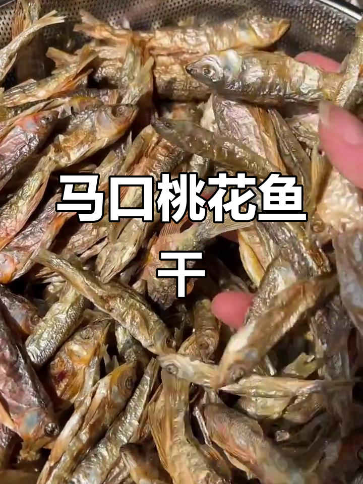 新鲜烤干马口桃花鱼,台风天必备美味佳肴
