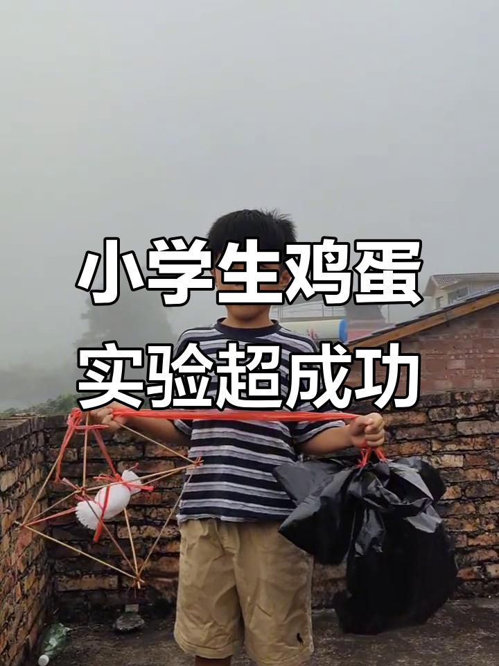 一年级萌娃挑战“鸡蛋撞地球”,科技小实验完美成功