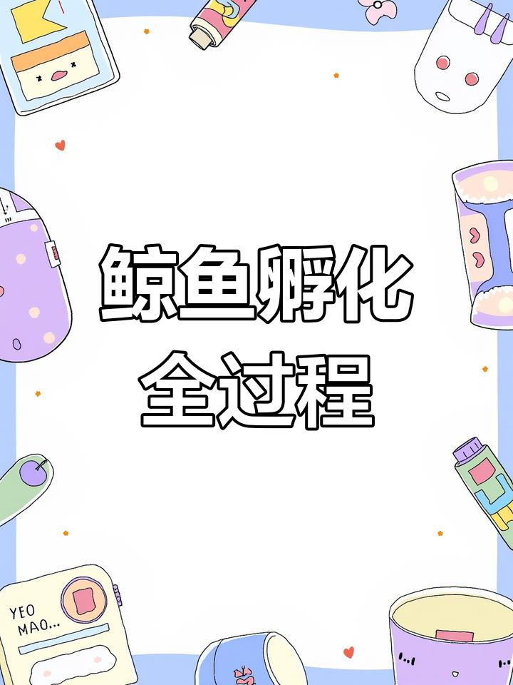 鲸鱼繁殖揭秘:从卵到幼崽的成长过程