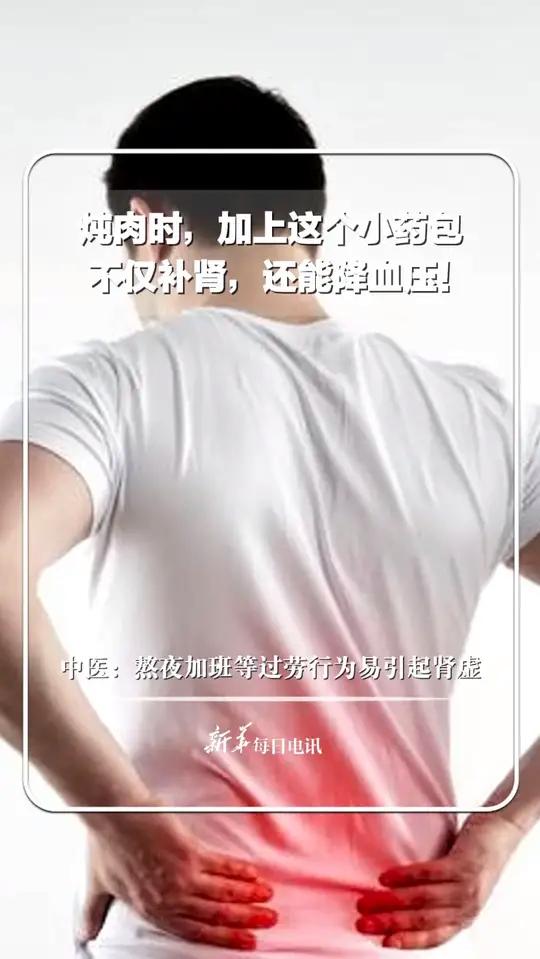 北京中医药大学博导李峰:炖肉时加上这个小药包,不仅补肾,还能降血压。请注意:熬夜加班等过劳