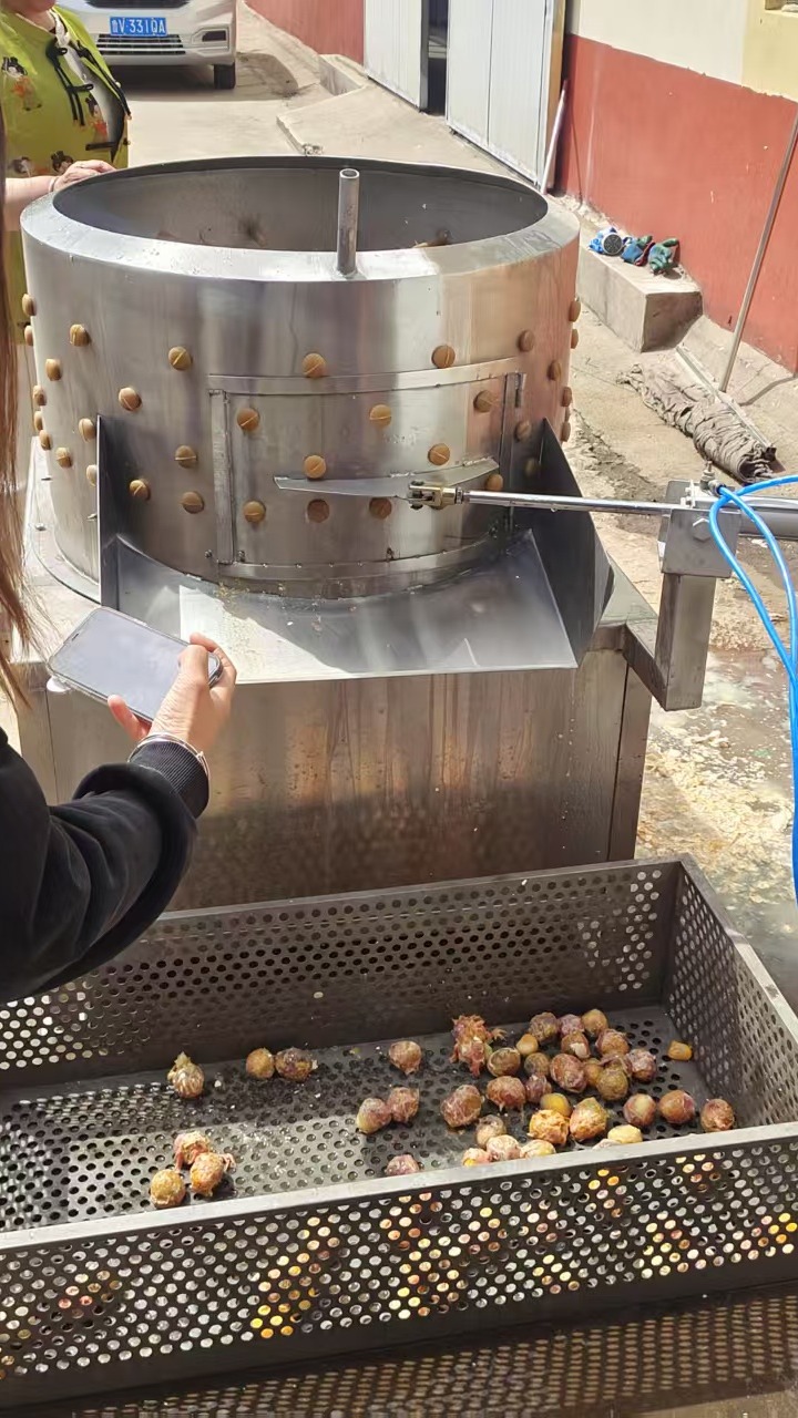 小型毛蛋脱壳机器 冷冻鸡蛋去皮机视频