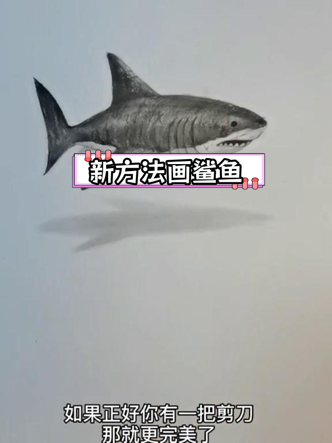 学会新技巧,画出立体鲨鱼