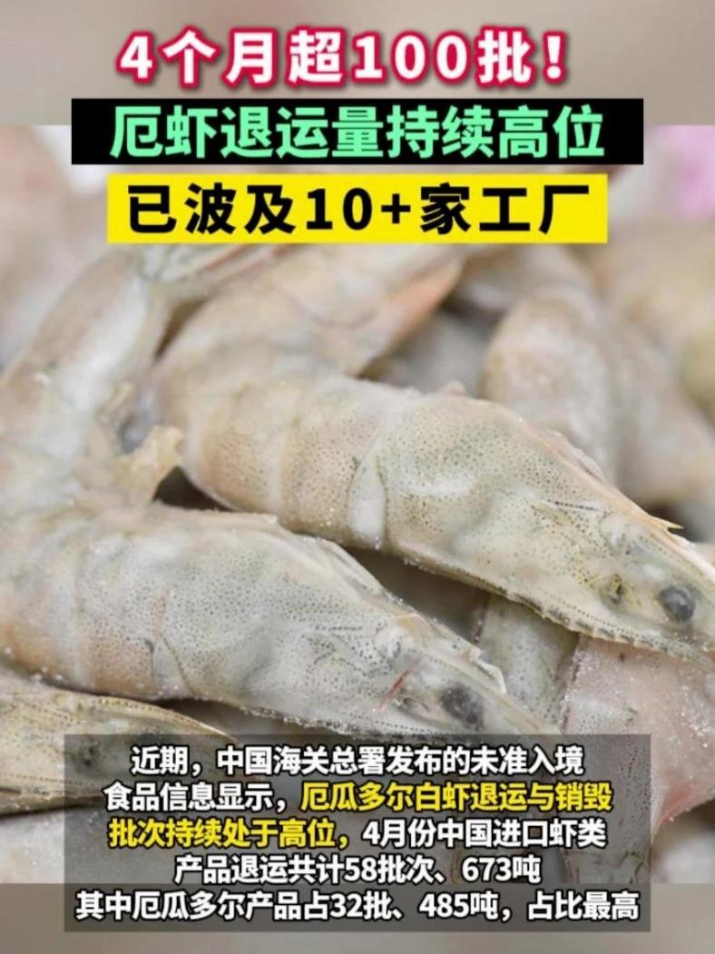 4个月超100批次！近期业内大批厄瓜多尔白虾遭退运，主要原因为焦亚硫酸钠超标及动物疫病！#