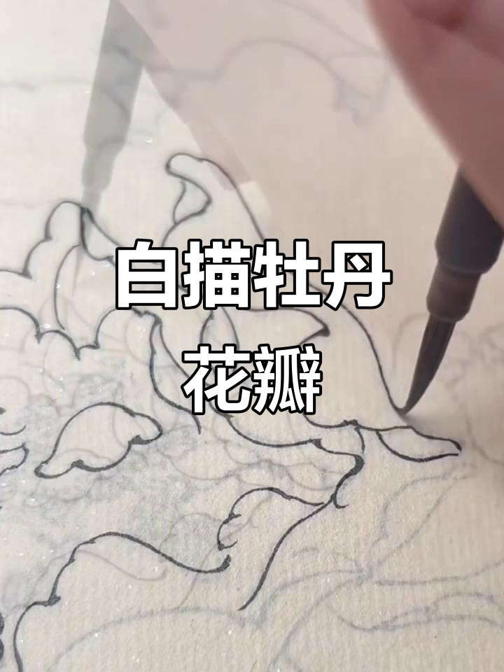 牡丹花瓣白描技巧:如何用线条表现节奏感
