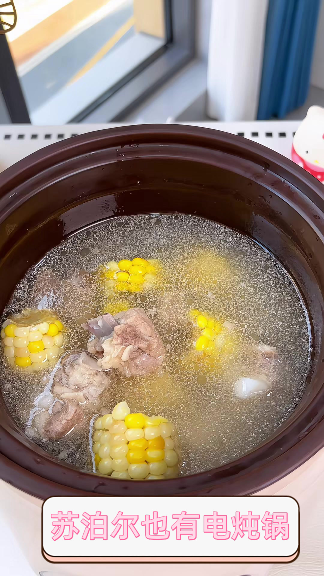 苏泊尔也有电炖锅