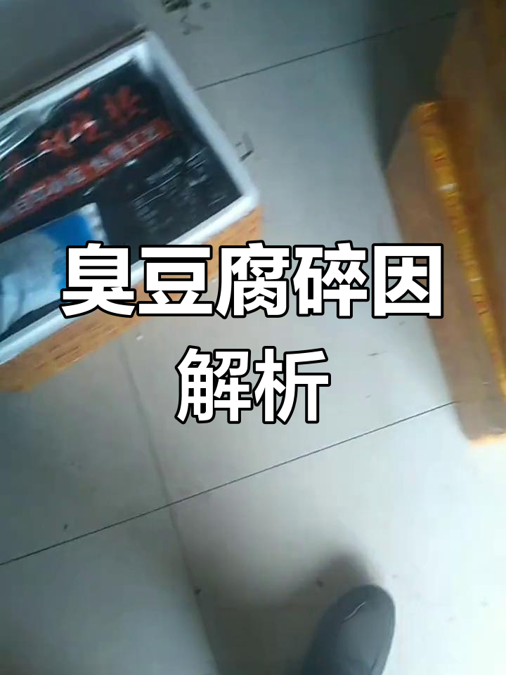 揭秘臭豆腐炸裂真相,碎片背后的秘密!