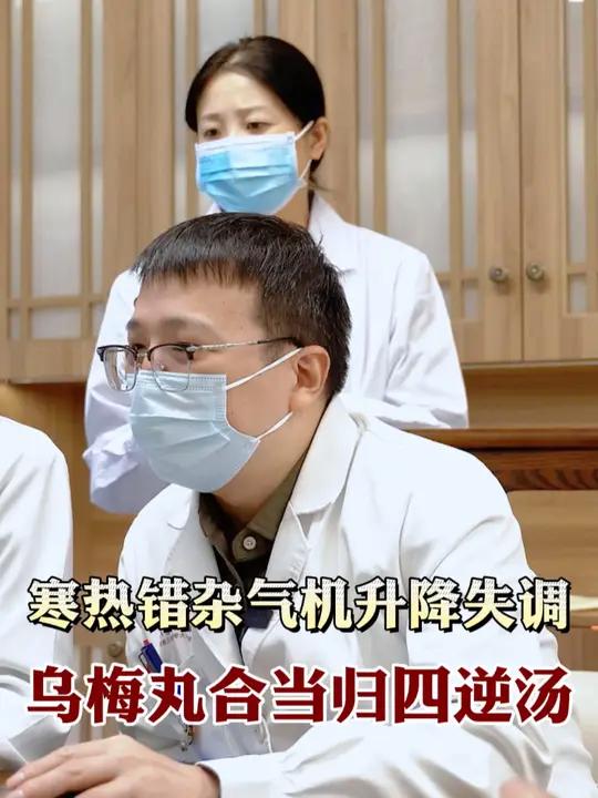寒热错杂奇迹升降失调,乌梅丸合当归四逆汤