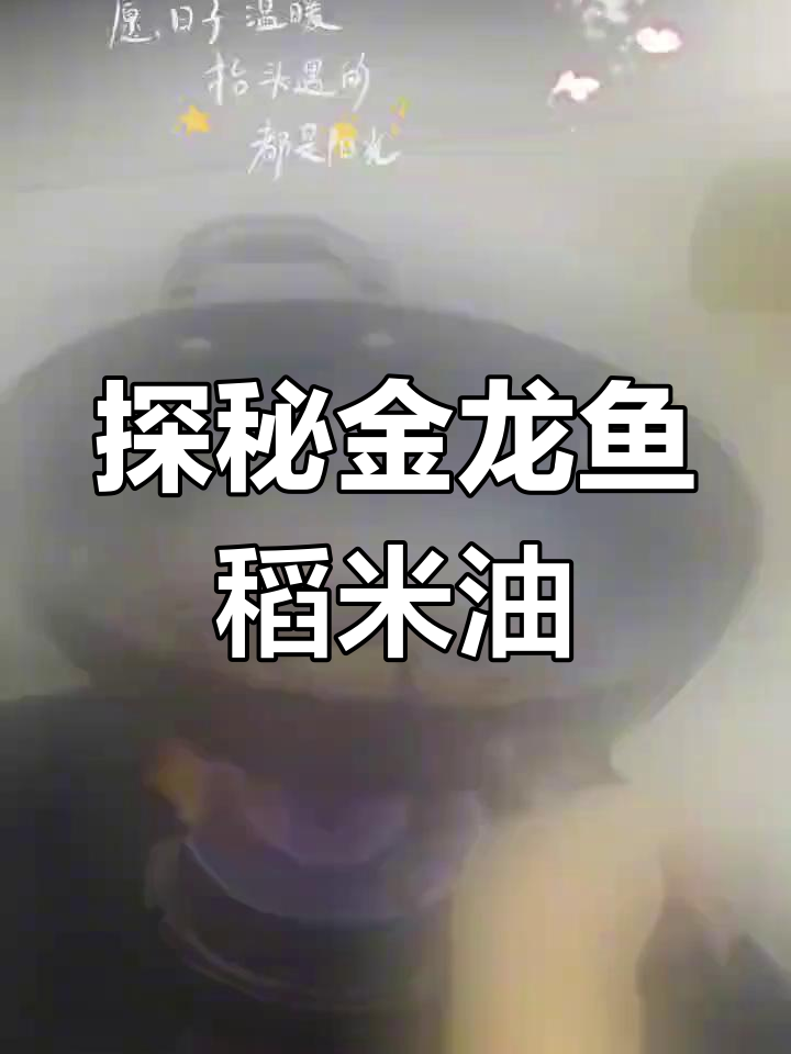 金龙鱼稻米油,品质背后的故事