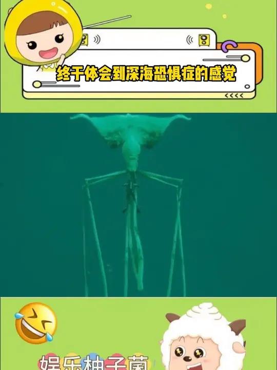 终于体会到深海恐惧症的感觉了