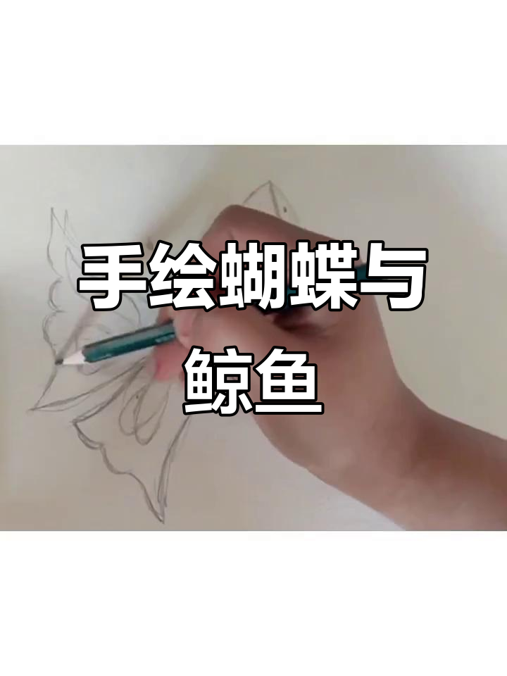 蝴蝶与鲸鱼的浪漫邂逅,手绘惊喜来袭