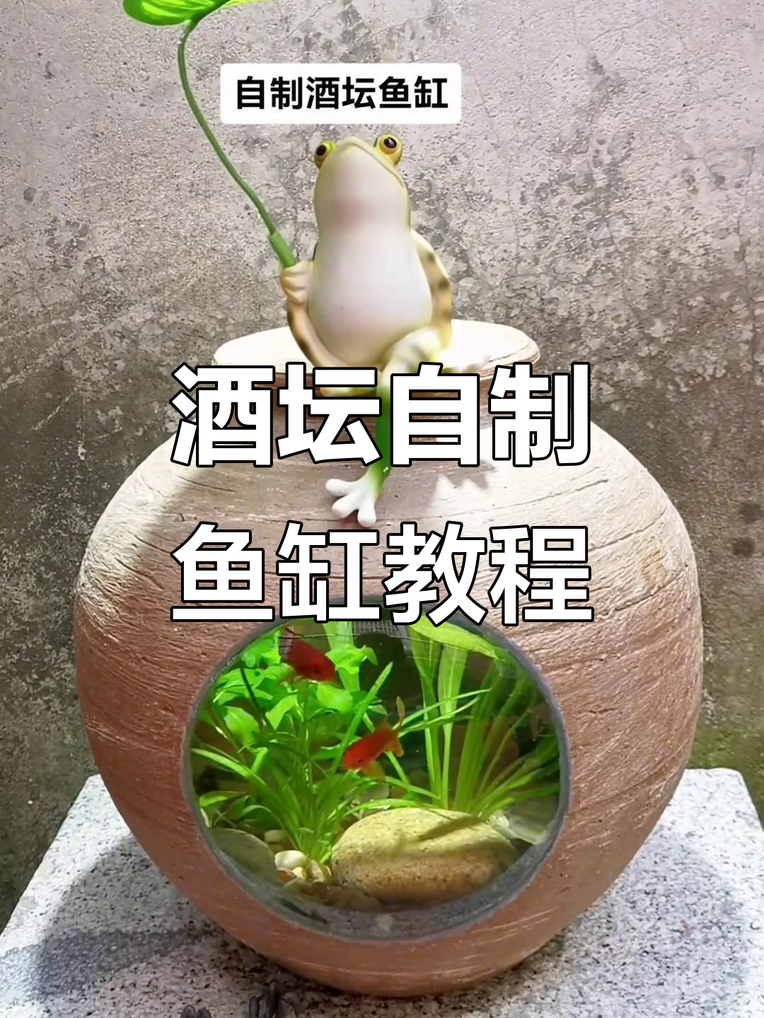自制酒坛鱼缸全攻略，打造创意生态水族箱