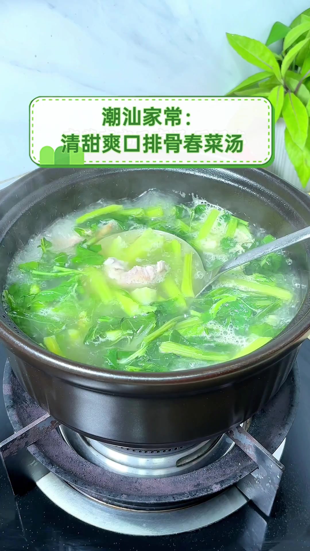 潮汕家常:清甜爽口排骨春菜汤