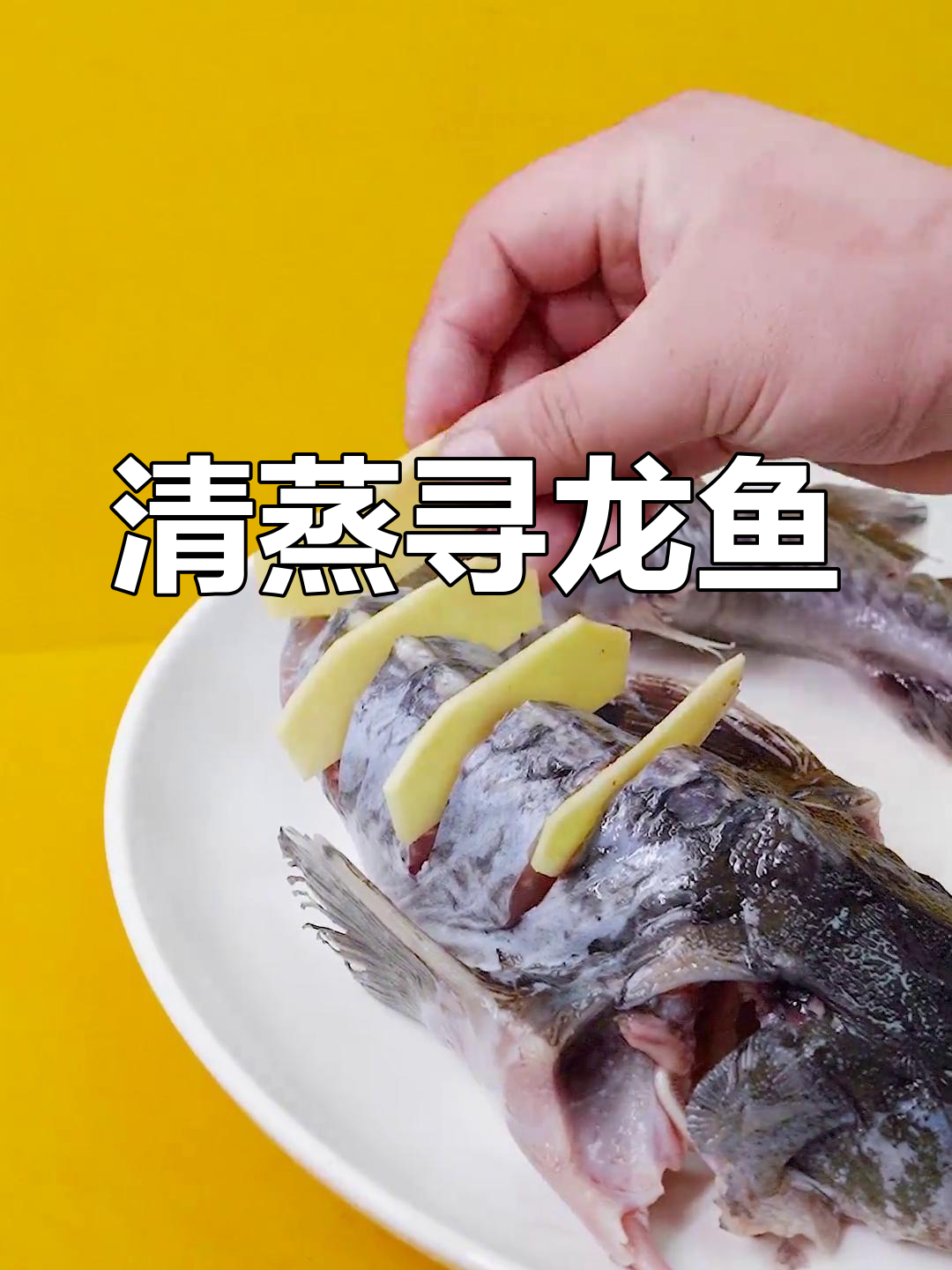 过年必备!清蒸寻龙鱼,无刺美味,孩子最爱