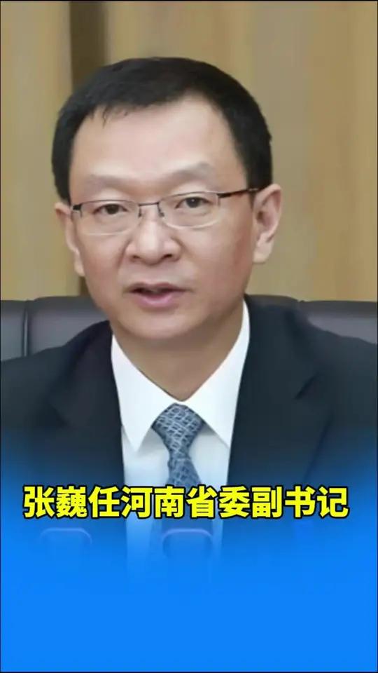 张巍任河南省委副书记