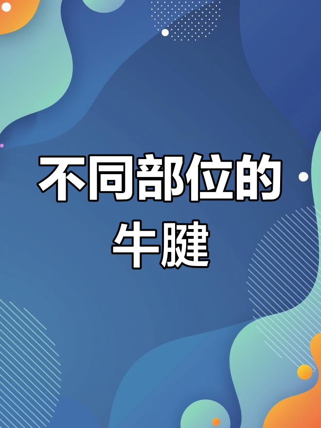 牛腱部位大揭秘