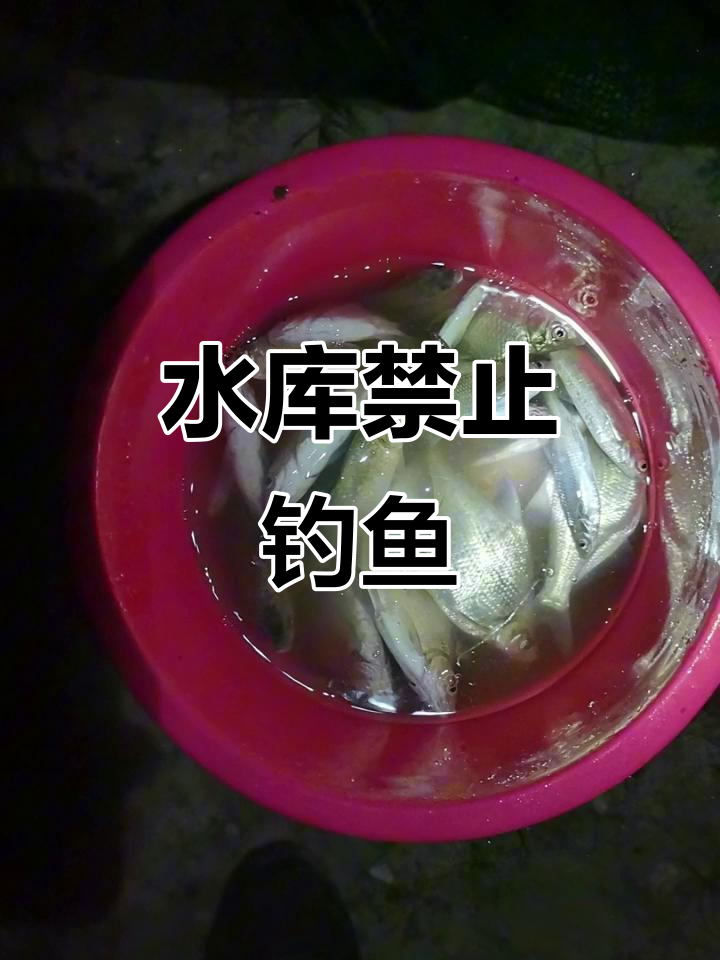 檀树岗水库严禁垂钓，保护水源人人有责