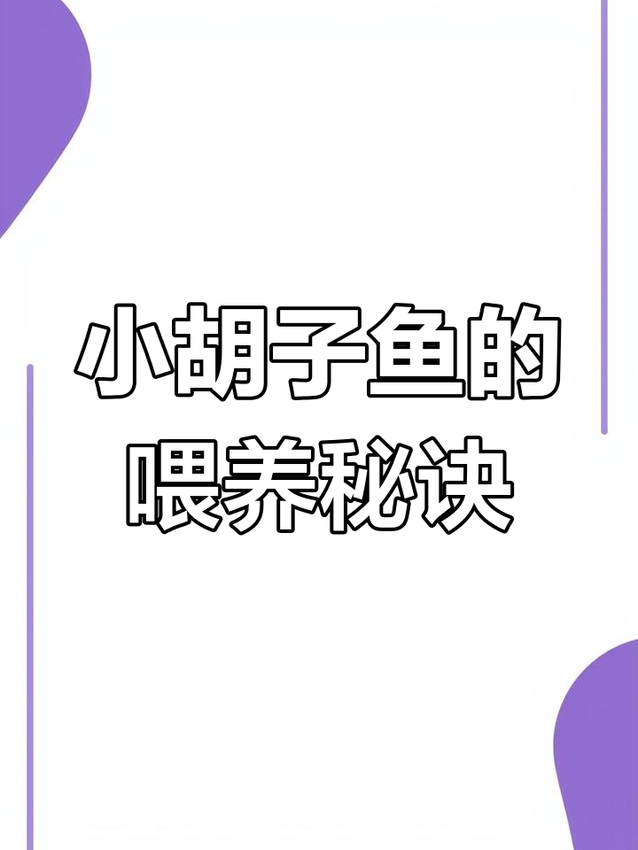 小胡子鱼日常喂食技巧,菠菜、小球枣都能轻松搞定