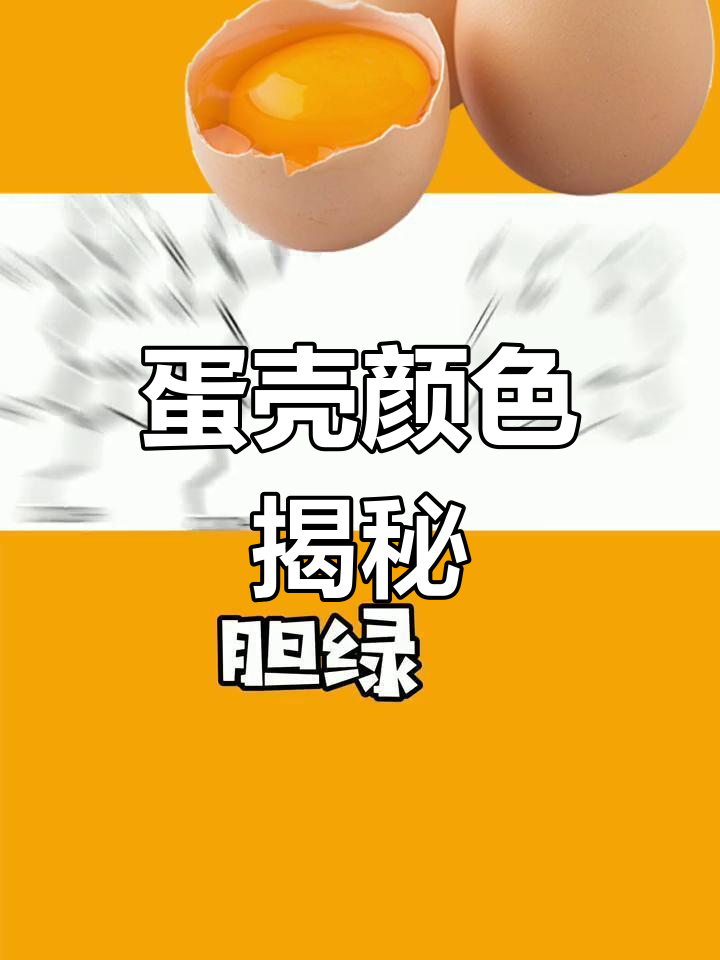鸡蛋壳的颜色是如何决定的?