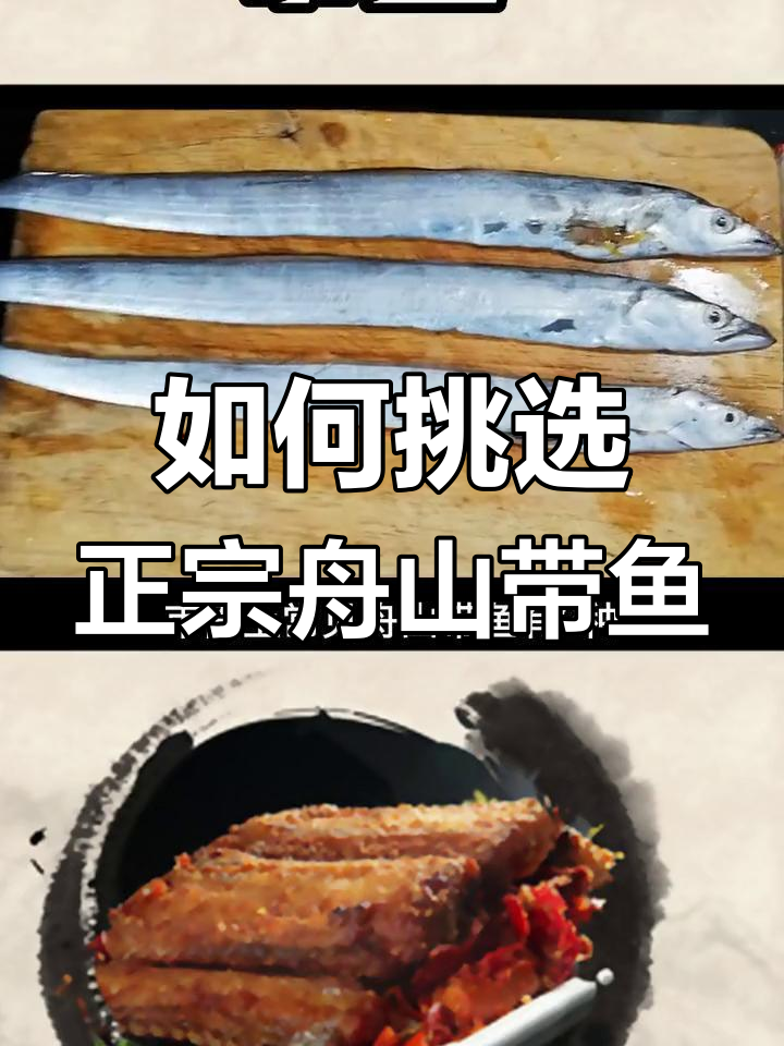 舟山带鱼与其他品种的差异