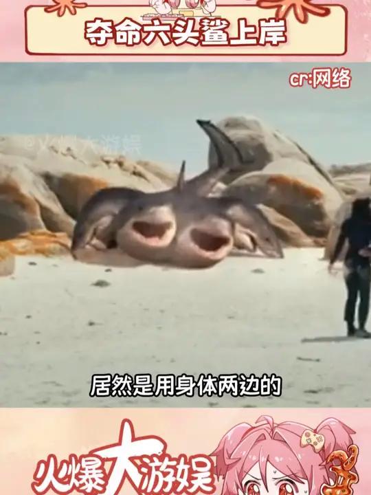 这头是怎么劝自己当腿的?鲨鱼 电影 抽象 无语