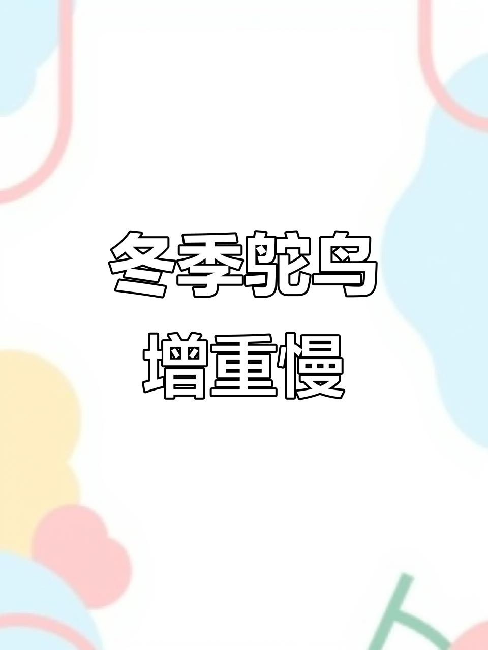 冬天鸵鸟为何不长肉?吃得多却不见长