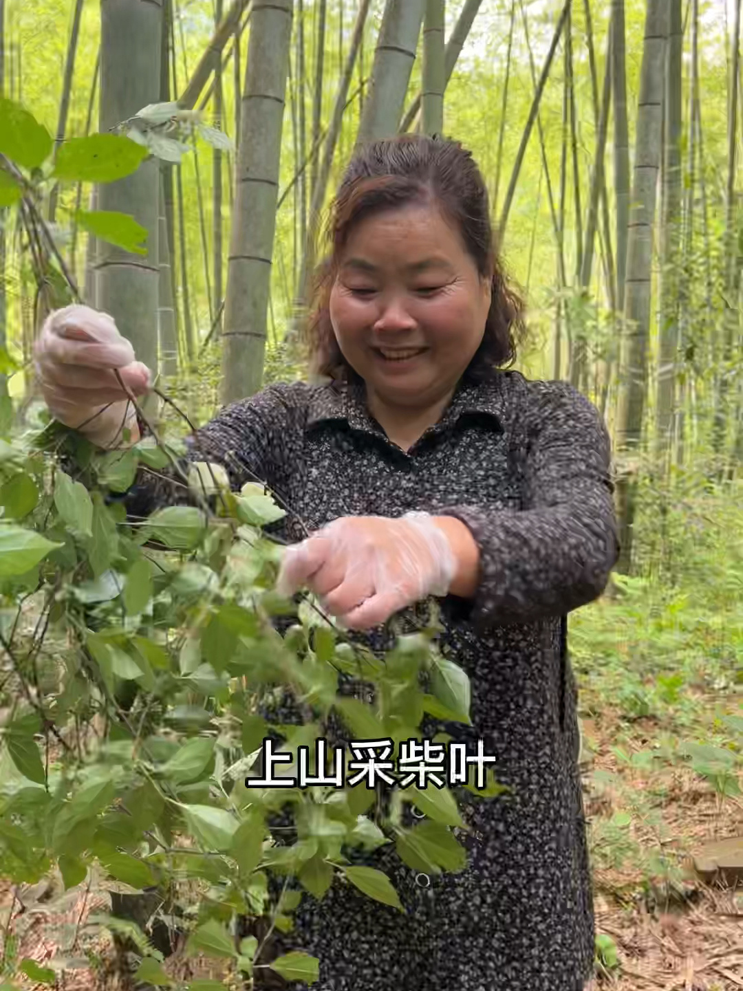 柴叶豆腐的三种做法