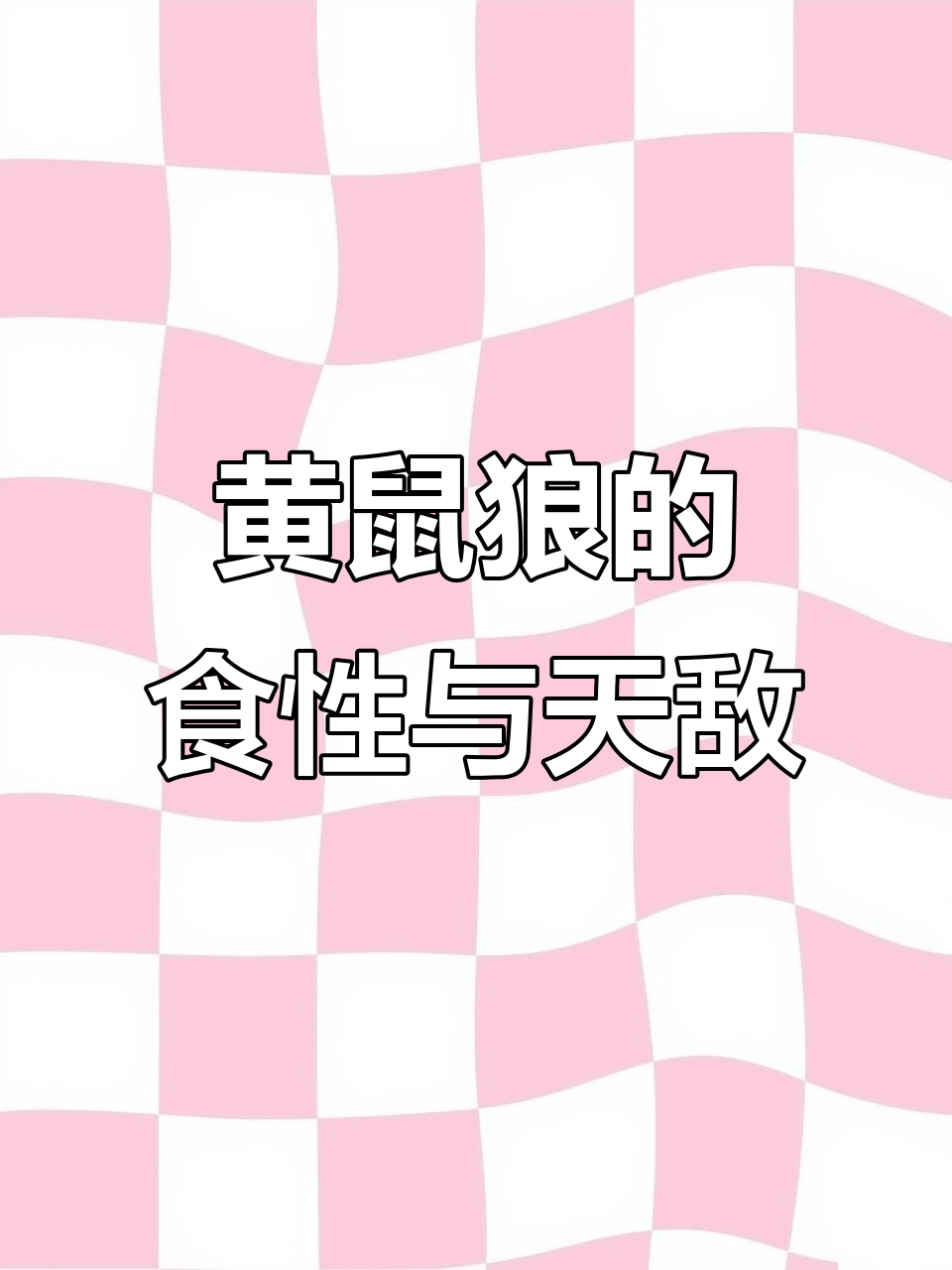 黄鼠狼最爱吃什么?它的天敌竟然是这些动物!