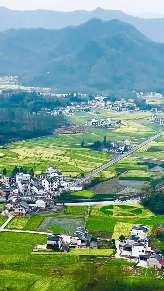 大美安徽 3月29日,不妨来黟县柯村开启一场特别的春日之旅。这里将举办2025皖南最大油菜